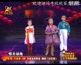 河南戏曲豫剧《抬花轿》选段  牛欣欣演唱