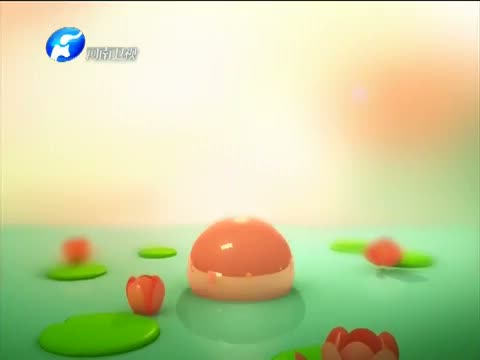 《梨园春》 20130804 花儿朵朵开 海选赛第四场