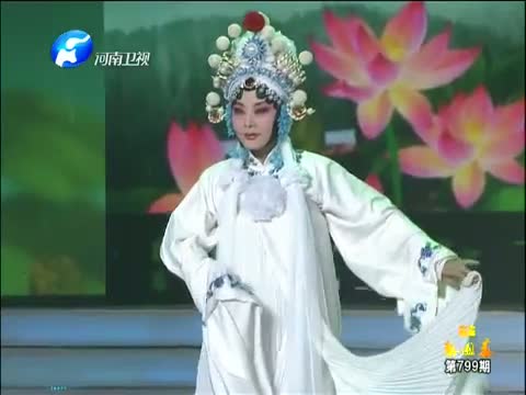 《梨园春》“人间常留玉生香”专场晚会