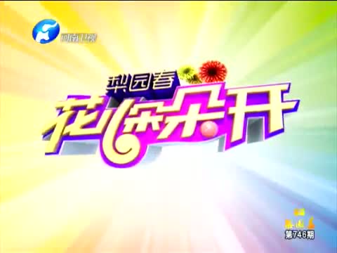 《梨园春》 20130714 花儿朵朵开