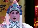 京剧（壮别选段）