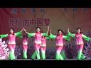 豫剧 桃花园的女人(洪庄演出)