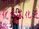豫剧 桃花园的女人(洪庄演出)..mp4