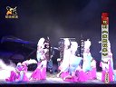 豫剧-苏武牧羊-李树建-2011_标清