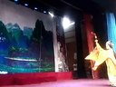 x豫剧 汉宫血泪 春蕾豫剧团1.02.54