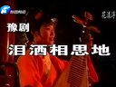豫剧电影《泪洒相思地》高清全集（李金枝）